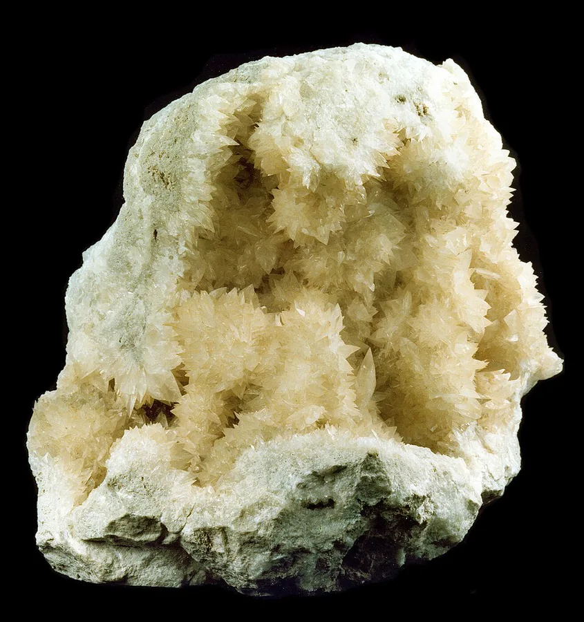 Colemanite — a borate mineral