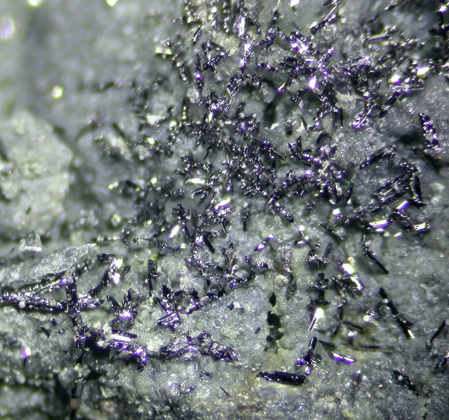 Native selenium